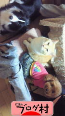 ブログランキング・にほんブログ村へ