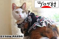 ブログランキング・にほんブログ村へ