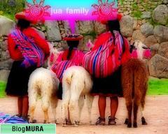 ブログランキング・にほんブログ村へ