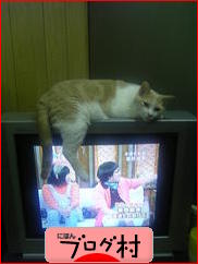 ブログランキング・にほんブログ村へ