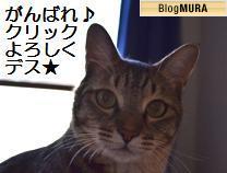 ブログランキング・にほんブログ村へ
