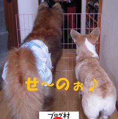 ブログランキング・にほんブログ村へ