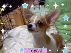 ブログランキング・にほんブログ村へ