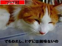 ブログランキング・にほんブログ村へ