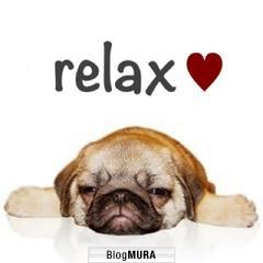 ブログランキング・にほんブログ村へ