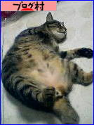 ブログランキング・にほんブログ村へ