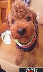 ブログランキング・にほんブログ村へ