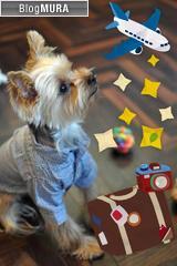 ブログランキング・にほんブログ村へ