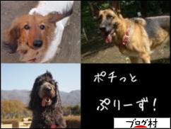 ブログランキング・にほんブログ村へ