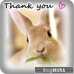 ブログランキング・にほんブログ村へ