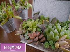 ブログランキング・にほんブログ村へ