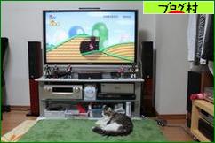 ブログランキング・にほんブログ村へ