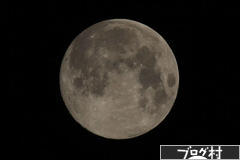 ブログランキング・にほんブログ村へ