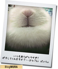 ブログランキング・にほんブログ村へ