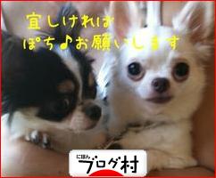 ブログランキング・にほんブログ村へ