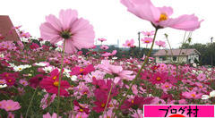 ブログランキング・にほんブログ村へ