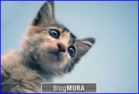 ブログランキング・にほんブログ村へ