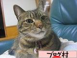 ブログランキング・にほんブログ村へ