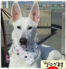 ブログランキング・にほんブログ村へ