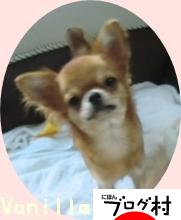 ブログランキング・にほんブログ村へ
