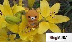 ブログランキング・にほんブログ村へ