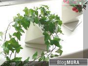 ブログランキング・にほんブログ村へ