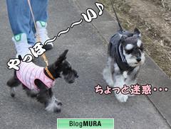 ブログランキング・にほんブログ村へ