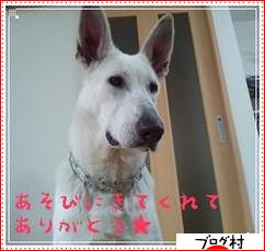 ブログランキング・にほんブログ村へ