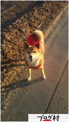 ブログランキング・にほんブログ村へ