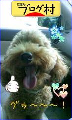 ブログランキング・にほんブログ村へ