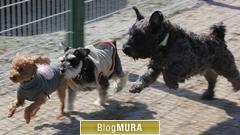 ブログランキング・にほんブログ村へ