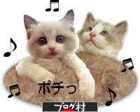 ブログランキング・にほんブログ村へ