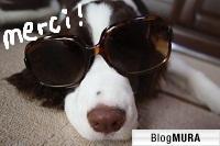 ブログランキング・にほんブログ村へ