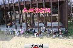 ブログランキング・にほんブログ村へ