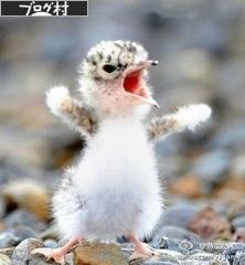 ブログランキング・にほんブログ村へ