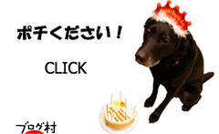 ブログランキング・にほんブログ村へ