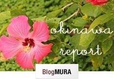 ブログランキング・にほんブログ村へ