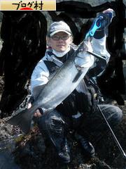 ブログランキング・にほんブログ村へ