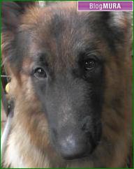 ブログランキング・にほんブログ村へ