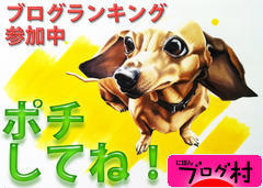 ブログランキング・にほんブログ村へ
