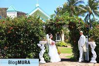 ブログランキング・にほんブログ村へ