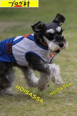 ブログランキング・にほんブログ村へ