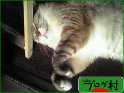 ブログランキング・にほんブログ村へ