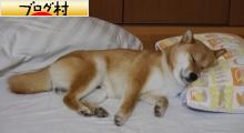 ブログランキング・にほんブログ村へ