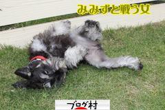 ブログランキング・にほんブログ村へ