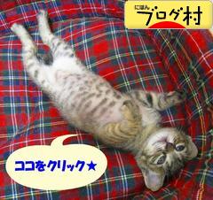 ブログランキング・にほんブログ村へ