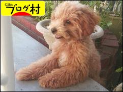 ブログランキング・にほんブログ村へ