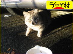 ブログランキング・にほんブログ村へ