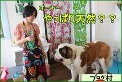 ブログランキング・にほんブログ村へ