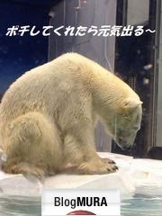 ブログランキング・にほんブログ村へ